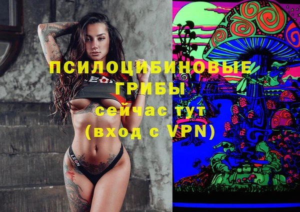 mdpv Вязьма