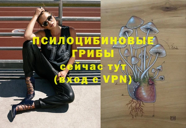 mdpv Вязьма
